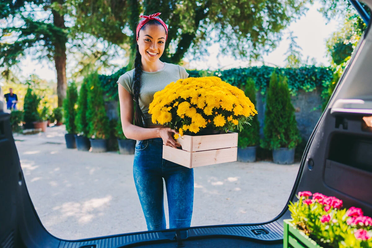 Woman unloading flowers to van from the farm