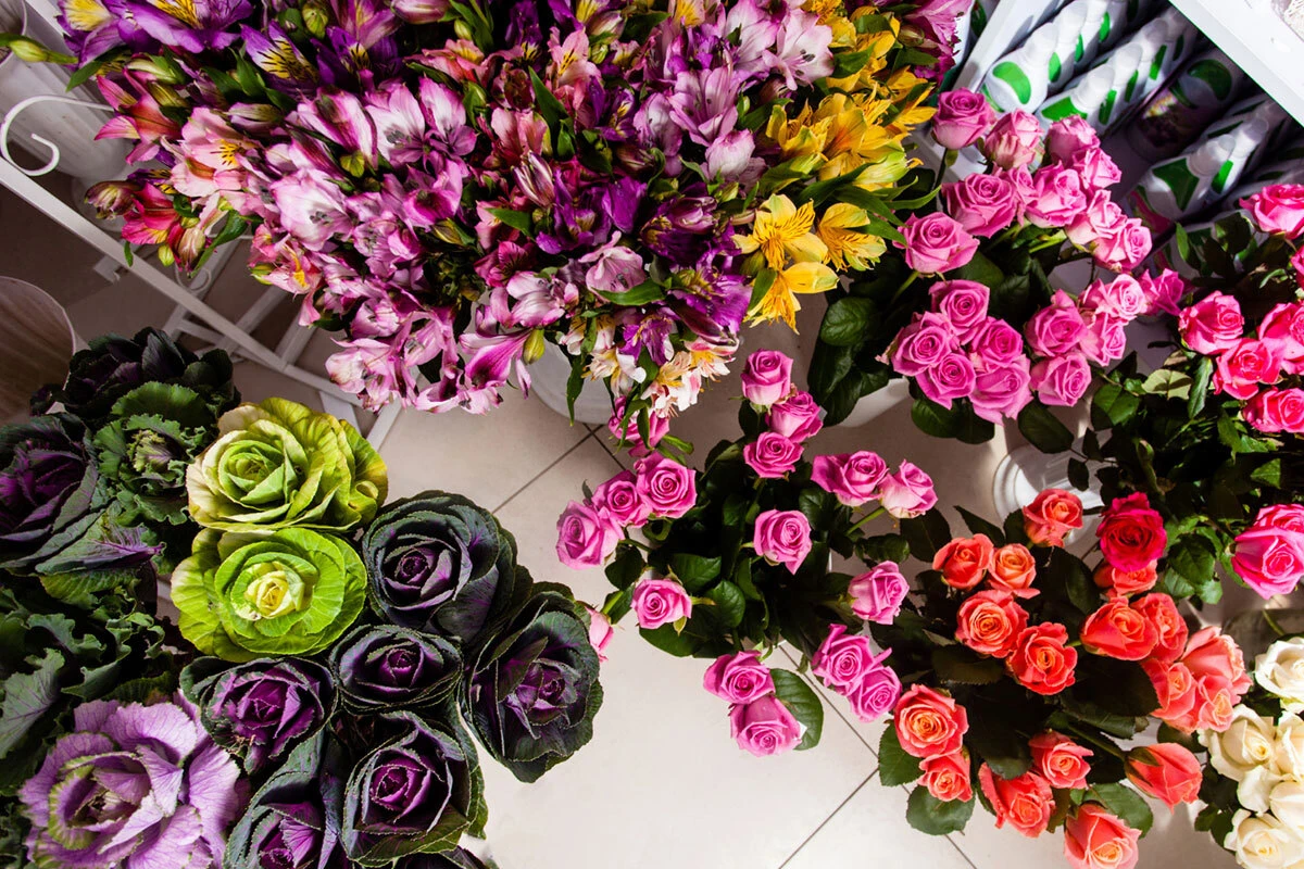 A sets of vibrant and beautiful flowers