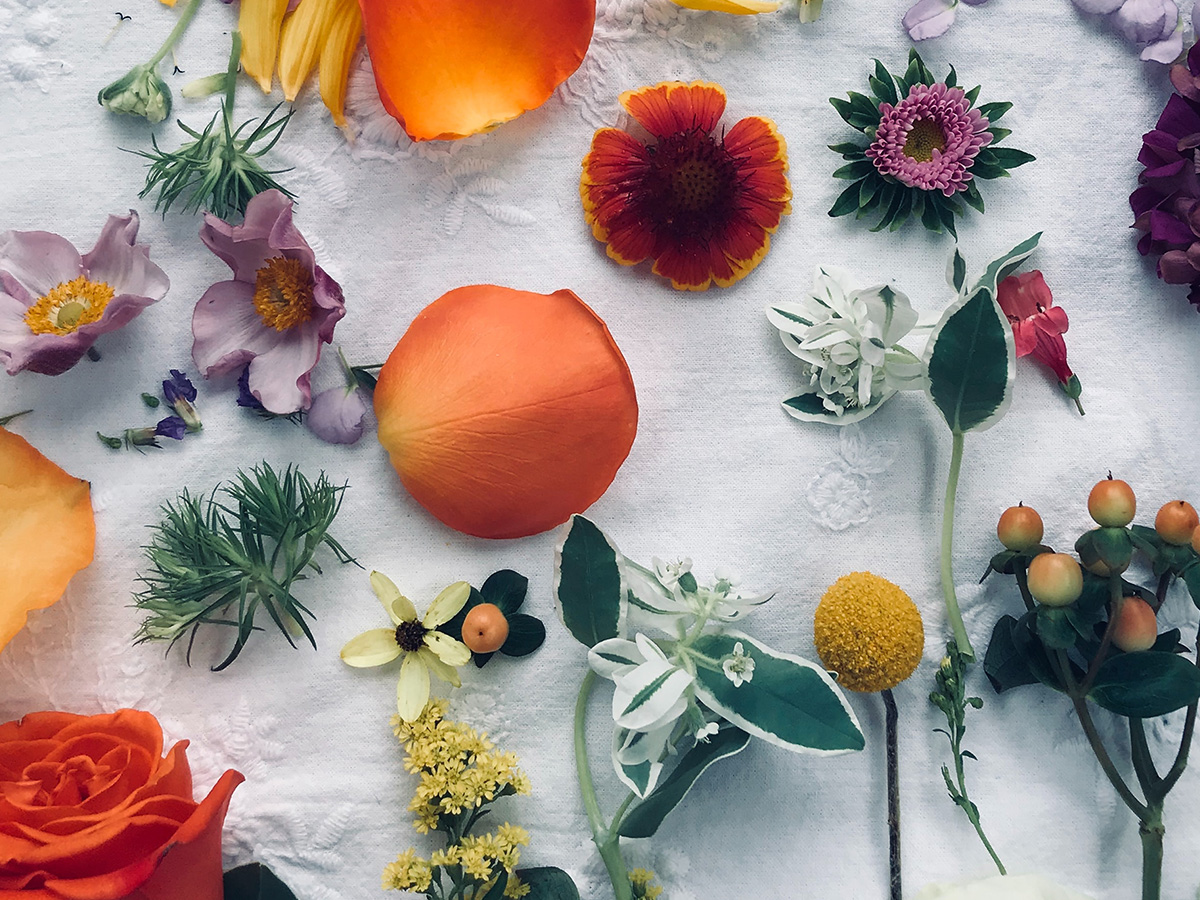 A variety of flowers on a white cloth background. 