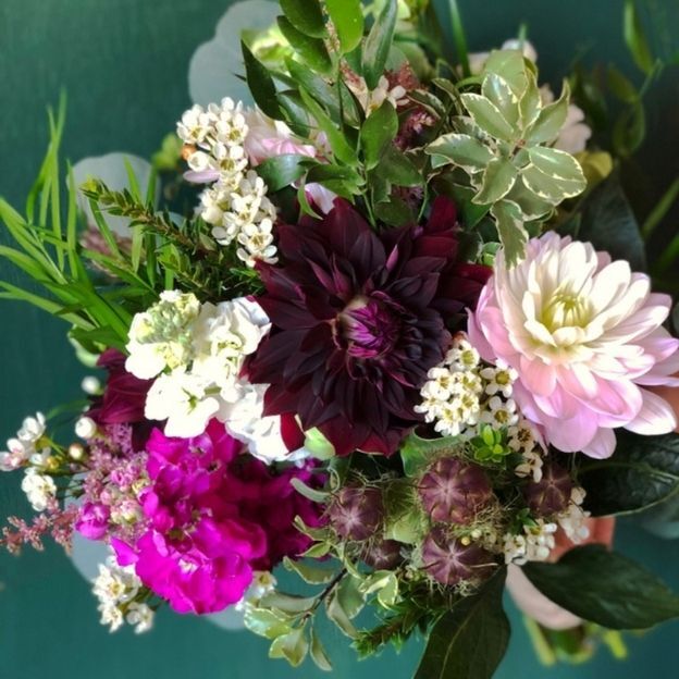 Deep burgundy and pale pink dahlias with magenta blooms, small white flowers, seed pods, and variegated greenery.