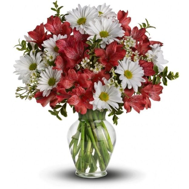 Clear glass vase with red alstroemeria, white daisies, waxflower, and greenery in a rounded bouquet