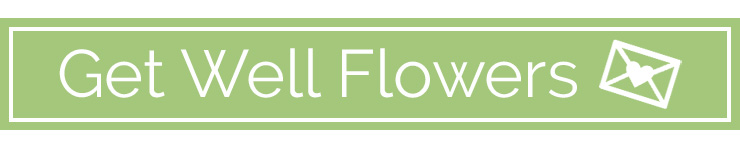 Chappells Florist Get Well Flowers