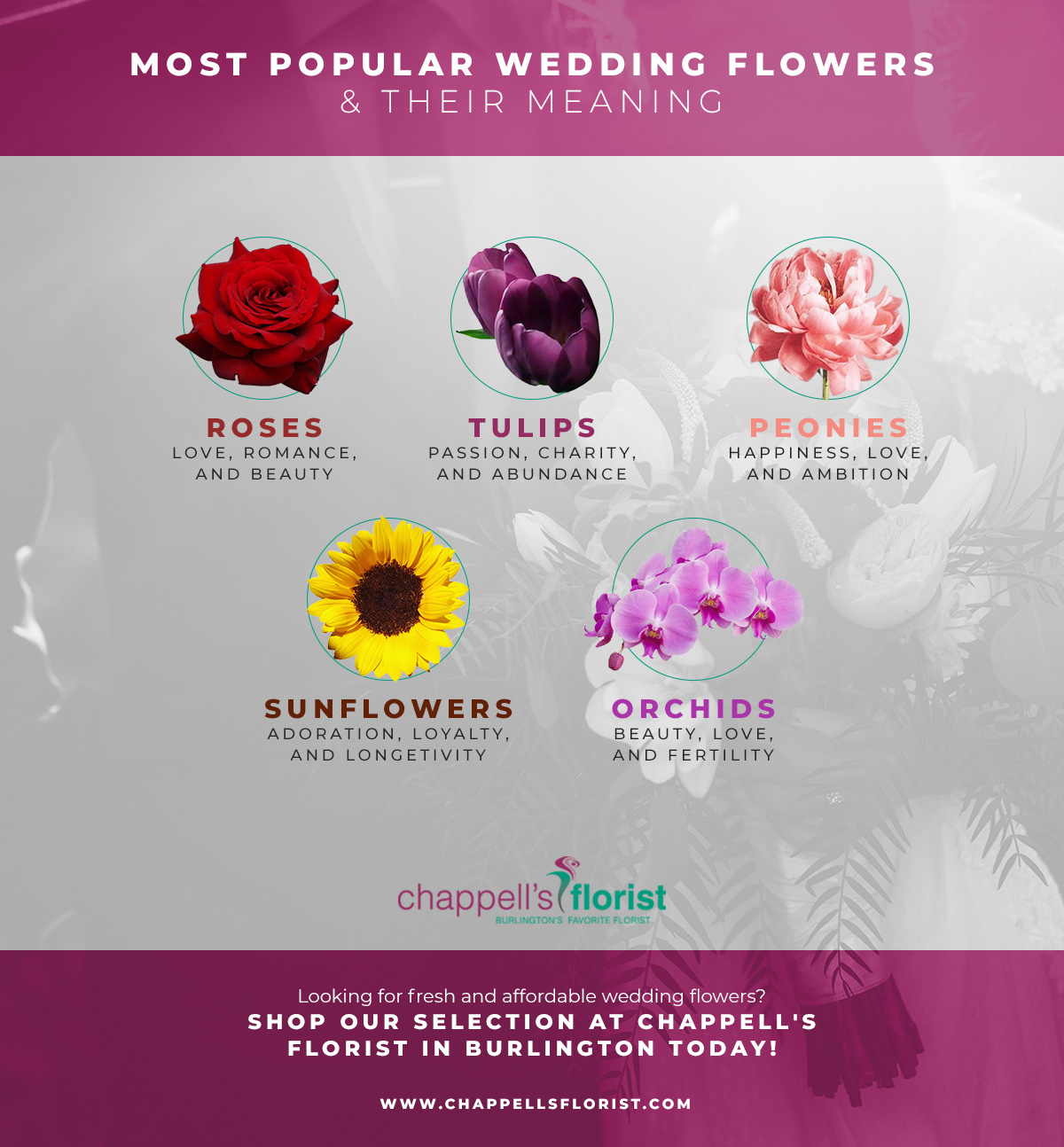 The Most Popular Types of Flowers That Represent Love